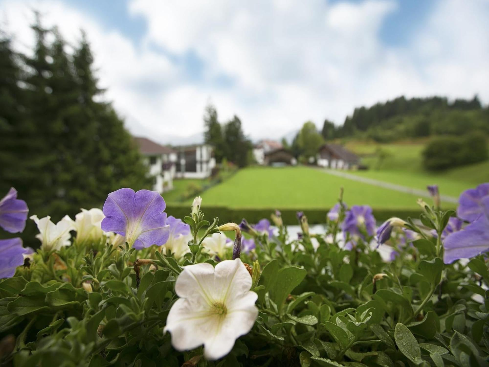 Apartment In W Ngle Tyrol With Walking Trails Near Reutte Exterior foto